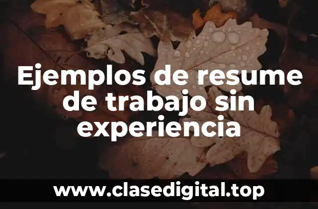 Ejemplos de resume de trabajo sin experiencia