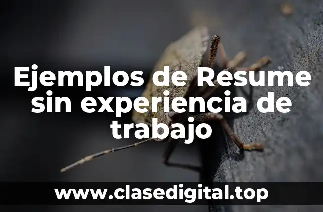 Ejemplos de resume sin experiencia de trabajo