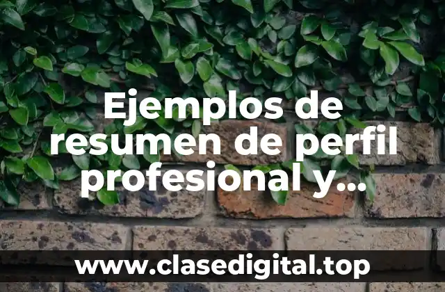 Ejemplos de resumen de perfil profesional y Significado