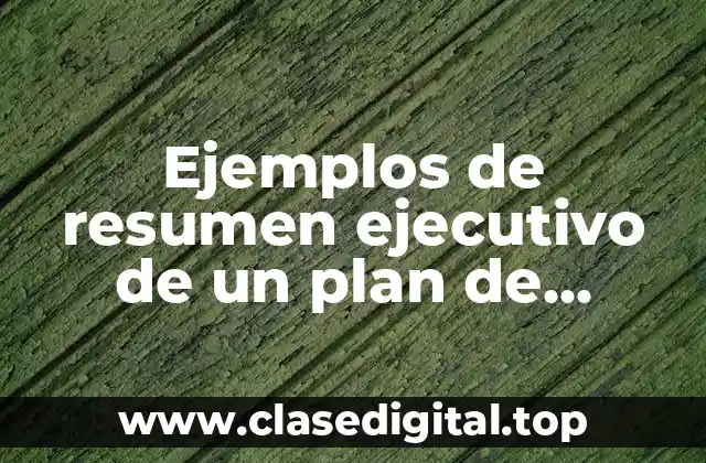 Ejemplos de resumen ejecutivo de un plan de mercadeo