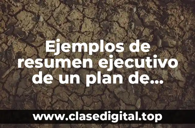 Ejemplos de resumen ejecutivo de un plan de negocio