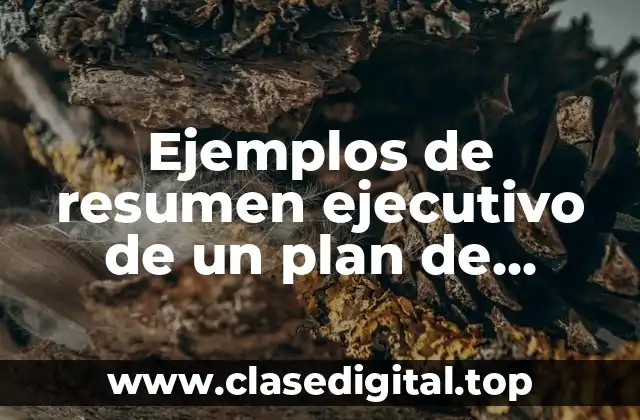 Ejemplos de resumen ejecutivo de un plan de negocios