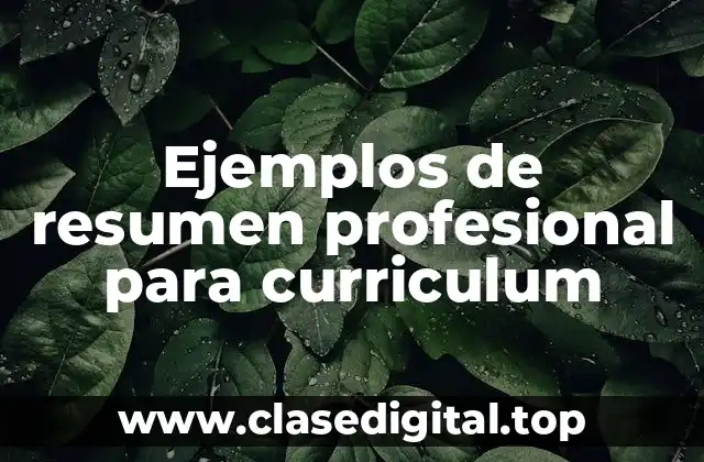 Ejemplos de resumen profesional para curriculum