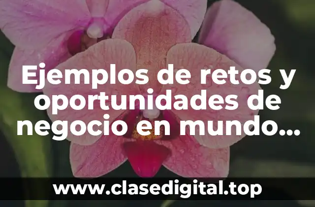 Ejemplos de retos y oportunidades de negocio en mundo globalizado
