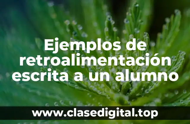 Ejemplos de retroalimentación escrita a un alumno
