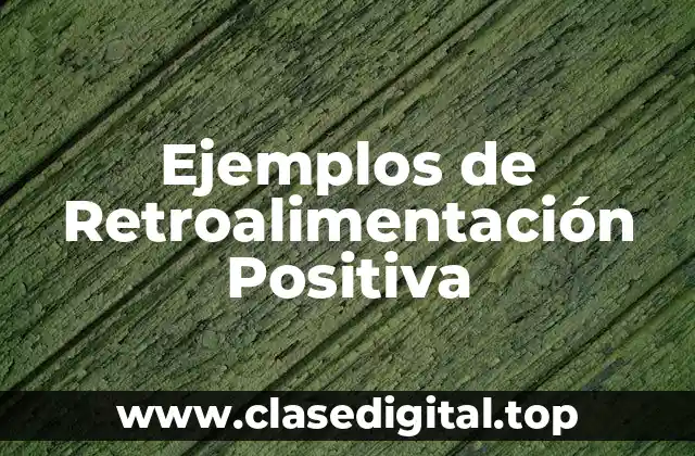 Ejemplos de Retroalimentación Positiva