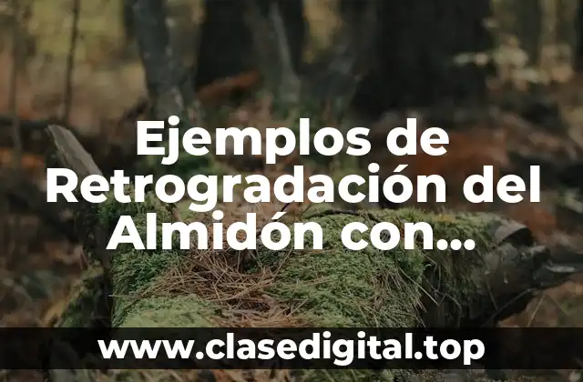 Ejemplos de Retrogradación del Almidón