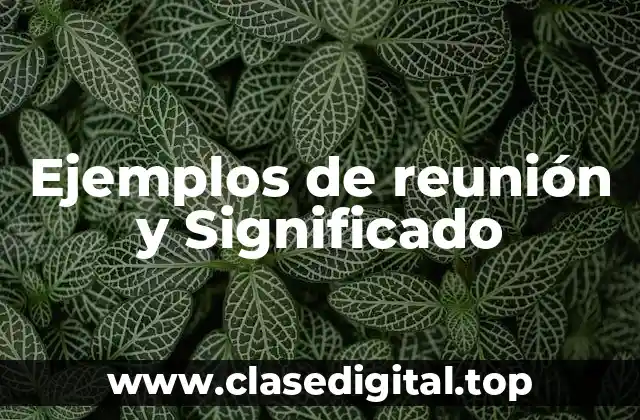 Ejemplos de reunión y Significado