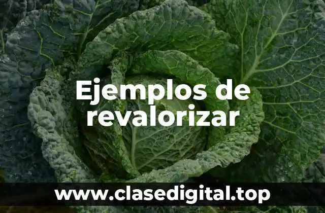 Ejemplos de revalorizar