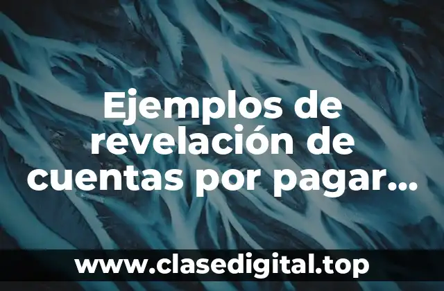 Ejemplos de revelación de cuentas por pagar en estados financieros