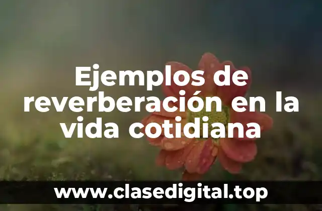 Ejemplos de reverberación en la vida cotidiana