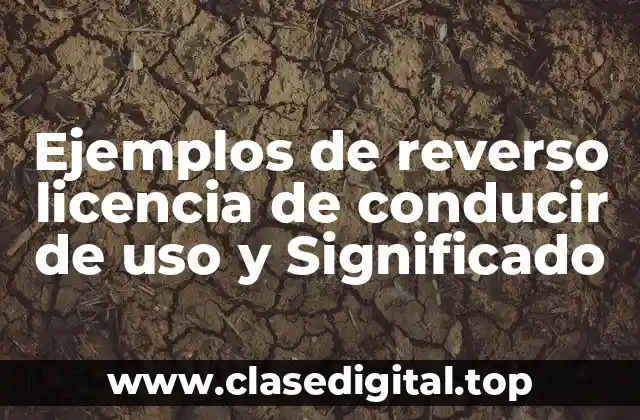 Ejemplos de reverso licencia de conducir de uso y Significado