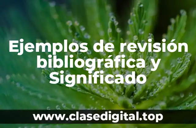 Ejemplos de revisión bibliográfica y Significado