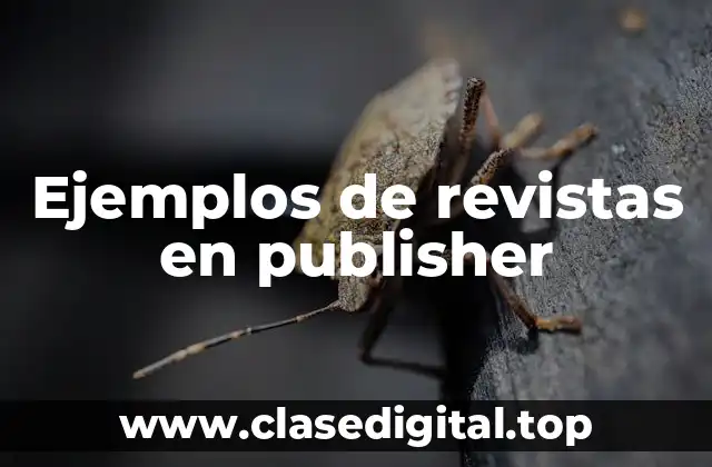 Ejemplos de revistas en publisher