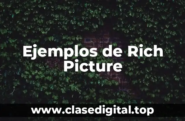 Ejemplos de Rich Picture