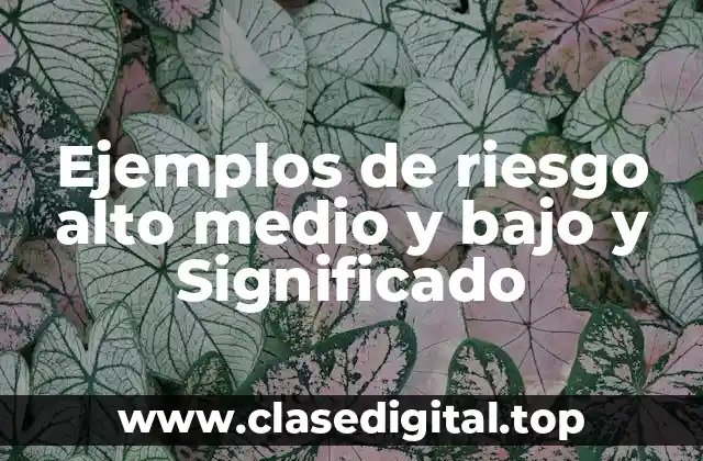 Ejemplos de riesgo alto medio y bajo y Significado