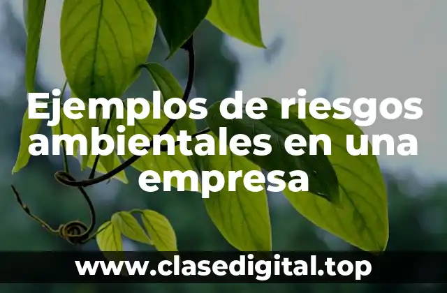 Ejemplos de riesgos ambientales en una empresa