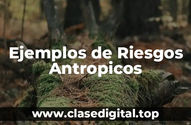 Ejemplos de Riesgos Antropicos