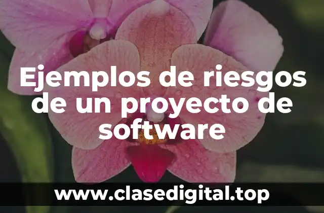 Ejemplos de riesgos de un proyecto de software