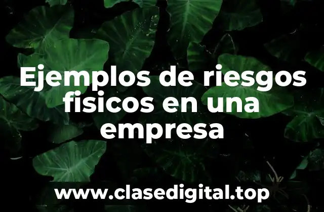 Ejemplos de riesgos fisicos en una empresa