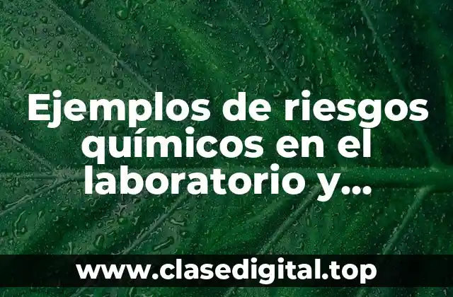 Ejemplos de riesgos químicos en el laboratorio y Significado