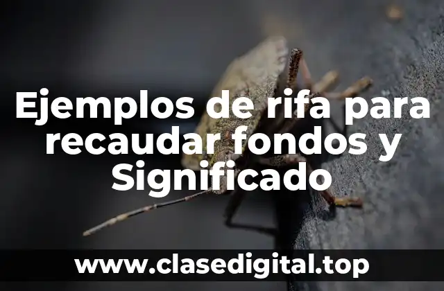 Ejemplos de rifa para recaudar fondos y Significado