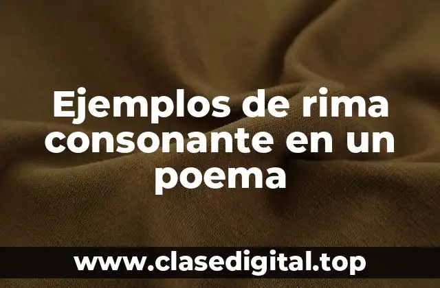Ejemplos de rima consonante en un poema