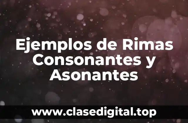 Ejemplos de Rimas Consonantes y Asonantes