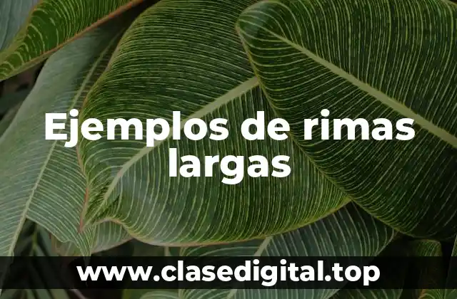 Ejemplos de rimas largas