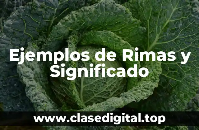 Ejemplos de Rimas y Significado
