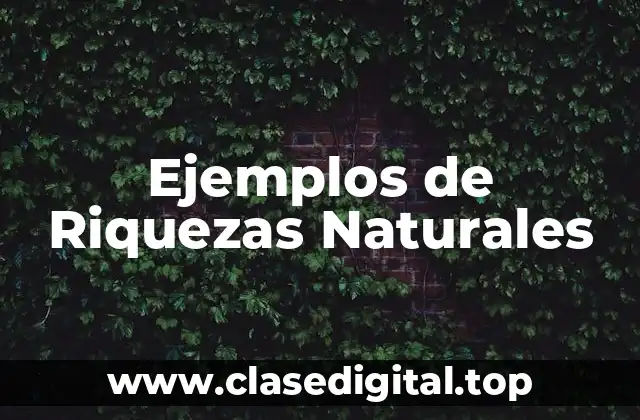 Ejemplos de Riquezas Naturales