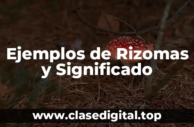 Ejemplos de Rizomas