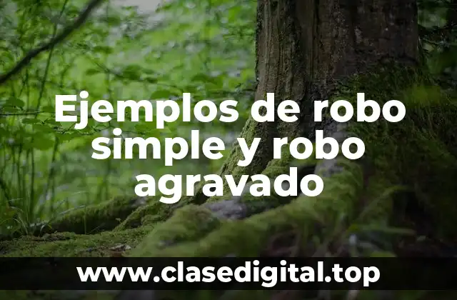 Ejemplos de robo simple y robo agravado
