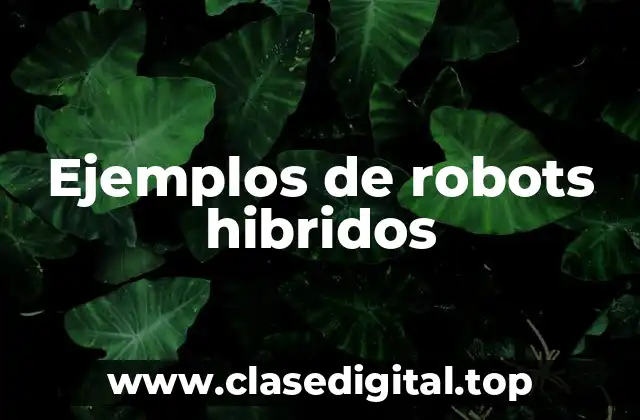 Ejemplos de robots hibridos