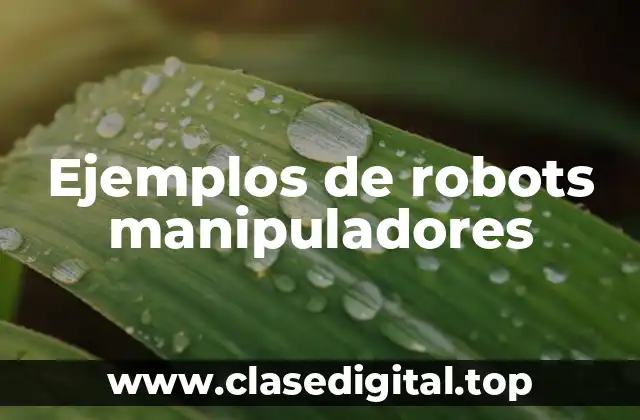 Ejemplos de robots manipuladores
