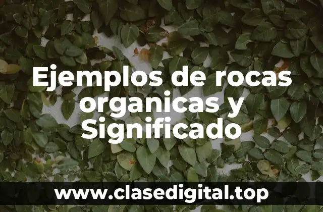 Ejemplos de rocas organicas y Significado
