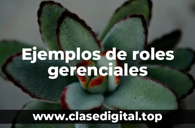 Ejemplos de roles gerenciales