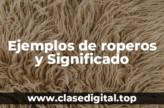 Ejemplos de roperos y Significado