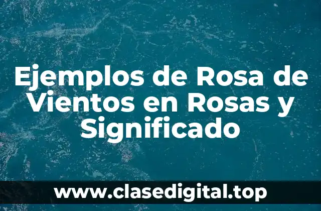 Ejemplos de Rosa de Vientos en Rosas y Significado