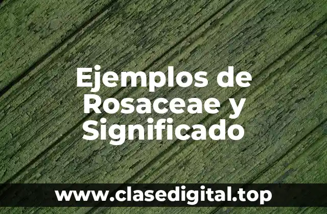 Ejemplos de Rosaceae y Significado