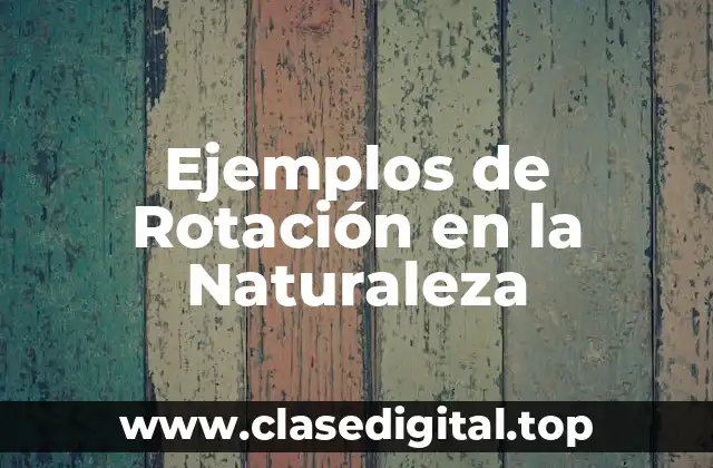 Ejemplos de Rotación en la Naturaleza