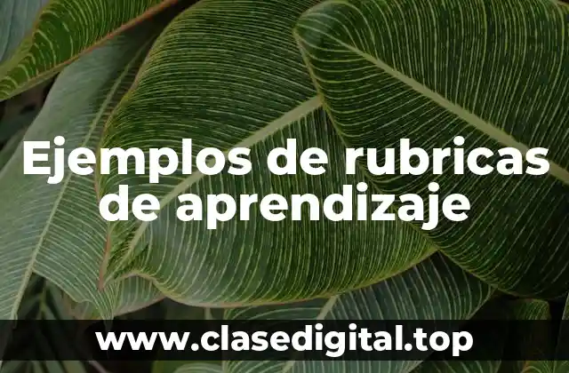 Ejemplos de rubricas de aprendizaje