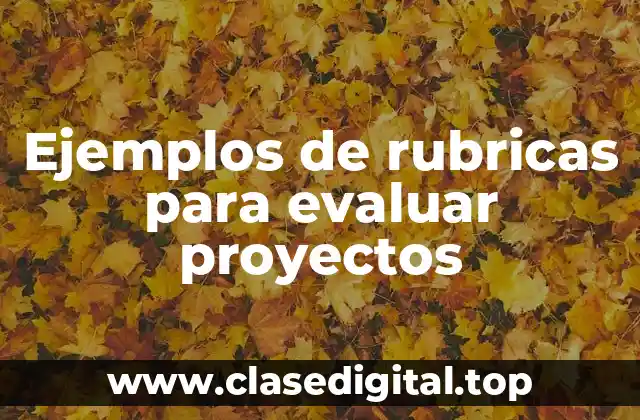Ejemplos de rubricas para evaluar proyectos