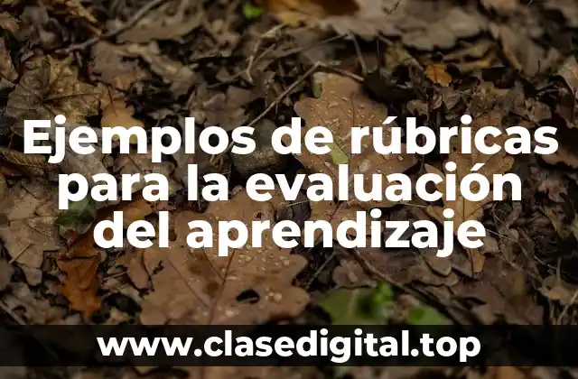 Ejemplos de rúbricas para la evaluación del aprendizaje