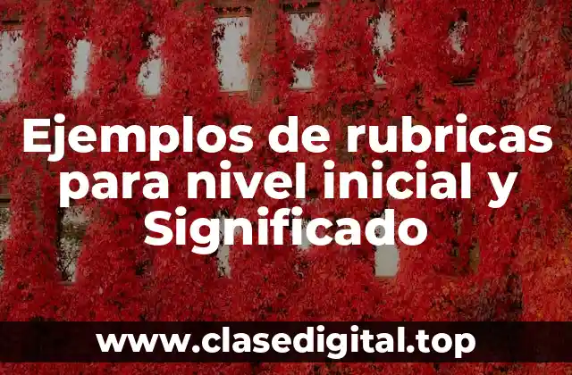 Ejemplos de rubricas para nivel inicial y Significado