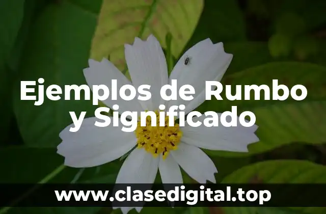 Ejemplos de Rumbo y Significado