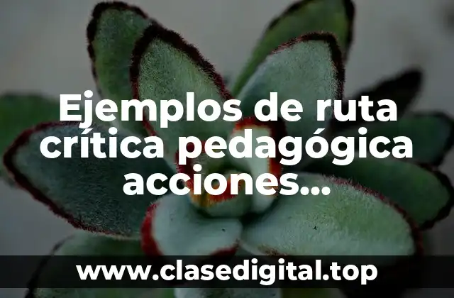 Ejemplos de ruta crítica pedagógica acciones condiciones favorables