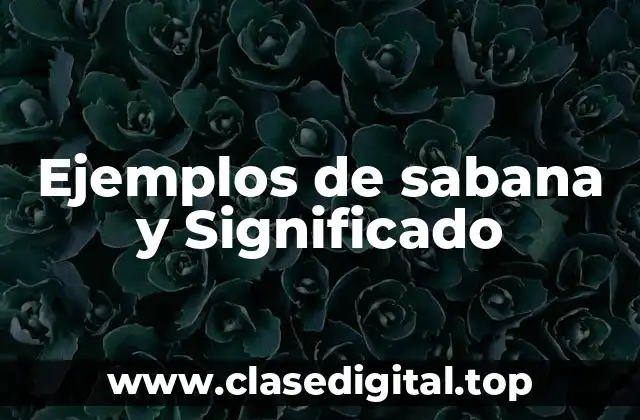 Ejemplos de sabana y Significado