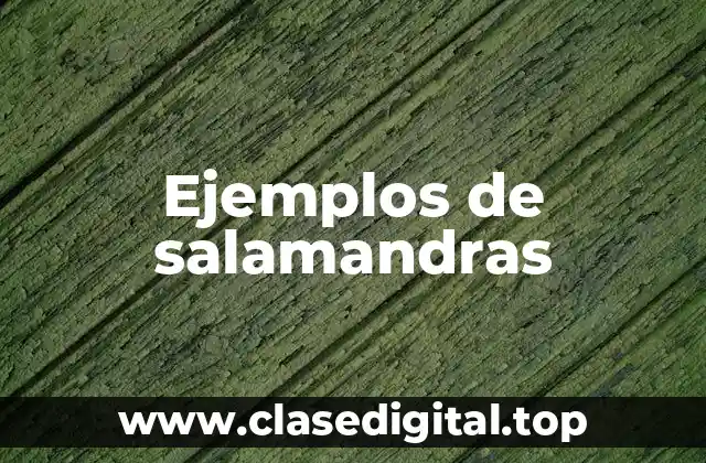 Ejemplos de salamandras