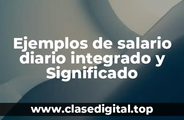 Ejemplos de salario diario integrado y Significado